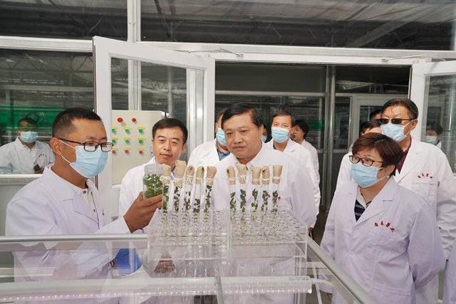 省科技廳廳長(zhǎng)唐波赴希森馬鈴薯集團(tuán)內(nèi)蒙古基地調(diào)研 強(qiáng)調(diào)農(nóng)業(yè)科研創(chuàng)新與試驗(yàn)發(fā)展